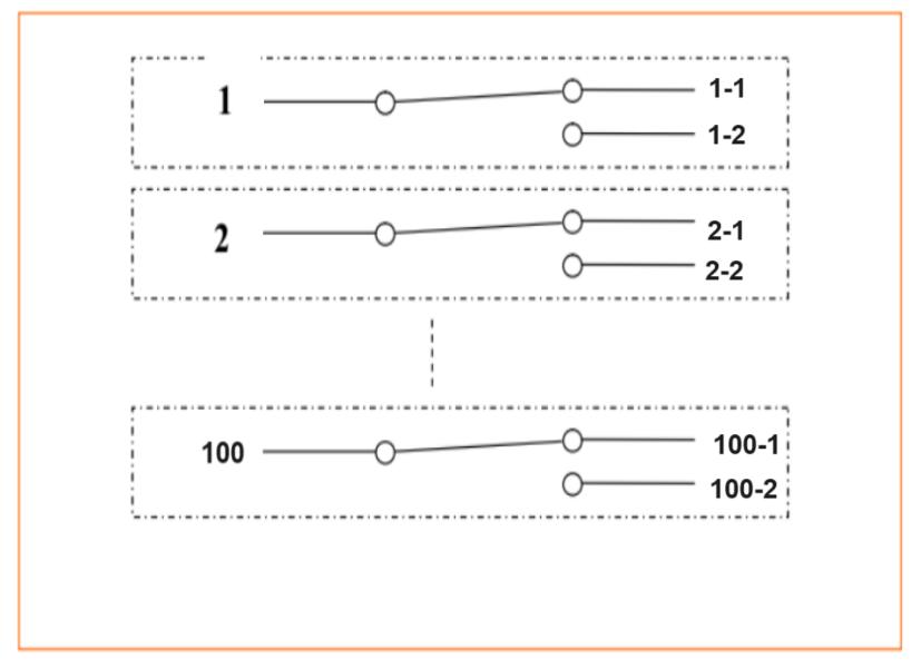 Optical path diagram