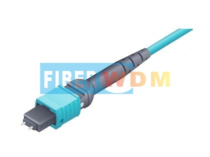 MPO Cable